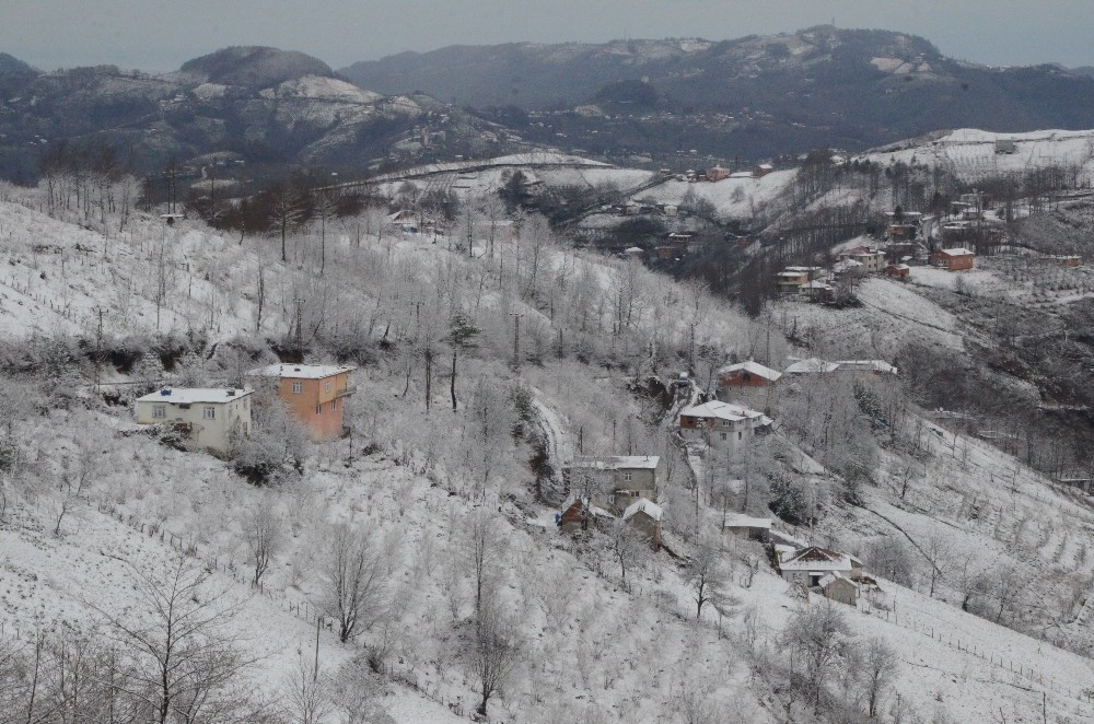 Ordu’da 175 kırsal mahalleye kar engelli
