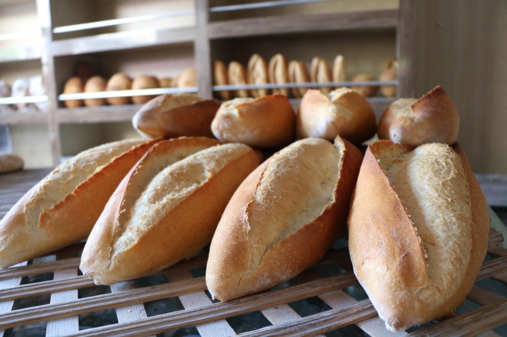 Günde 5 milyon ekmek israf oluyor: En çok israf lokantalarda