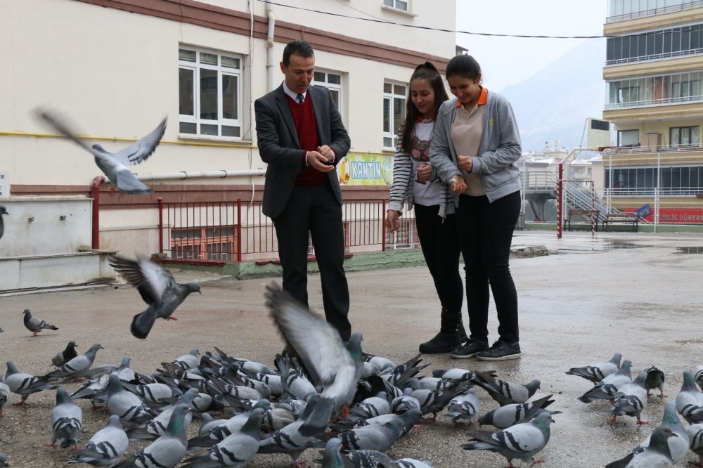 Okul bahçesini mesken tutan güvercinleri öğretmenlerle öğrenciler yemliyor
