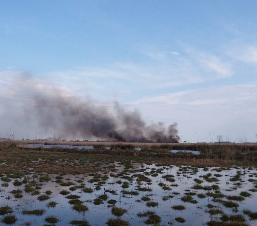 Simenit Gölü’nde yangın: Çok sayıda hayvan telef oldu