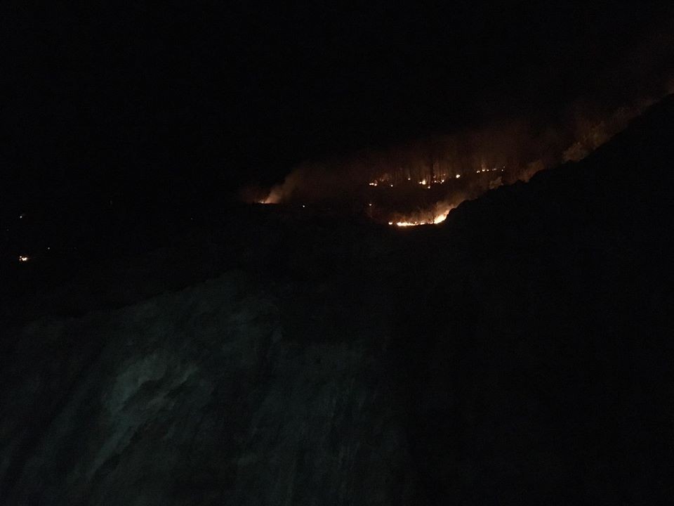 Ordu’da orman yangını