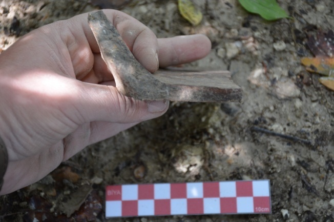 Bartın’da 5 bin yıl öncesine ait kalıntılar bulundu