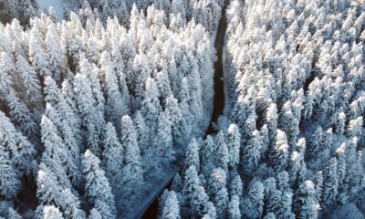 Bolu’nun karla kaplanan ormanları havadan görüntülendi