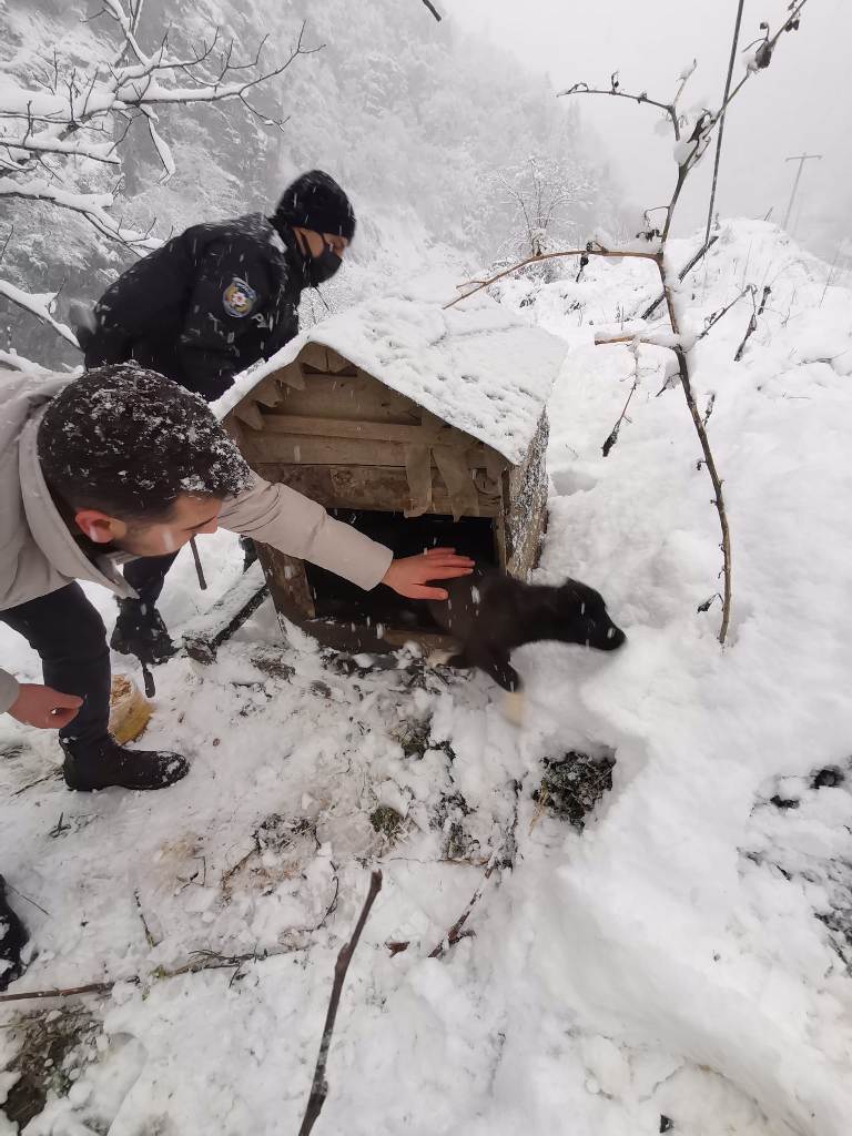 Doğankent’te soğuktan etkilenen sokak hayvanları için yem bırakıldı