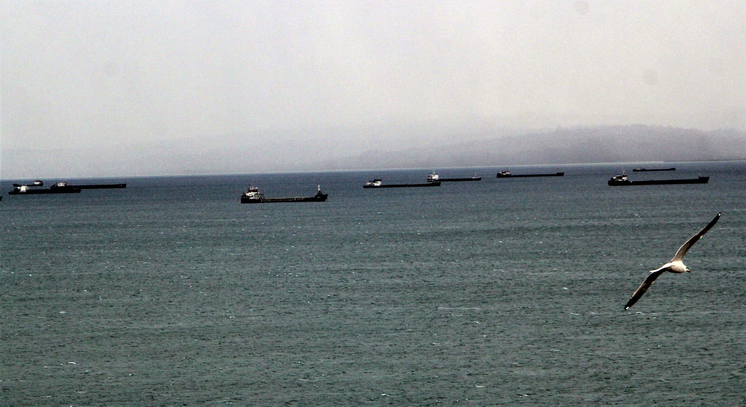 Fırtına uyarısı üzerine yük gemileri Sinop’un doğal limanına sığındı