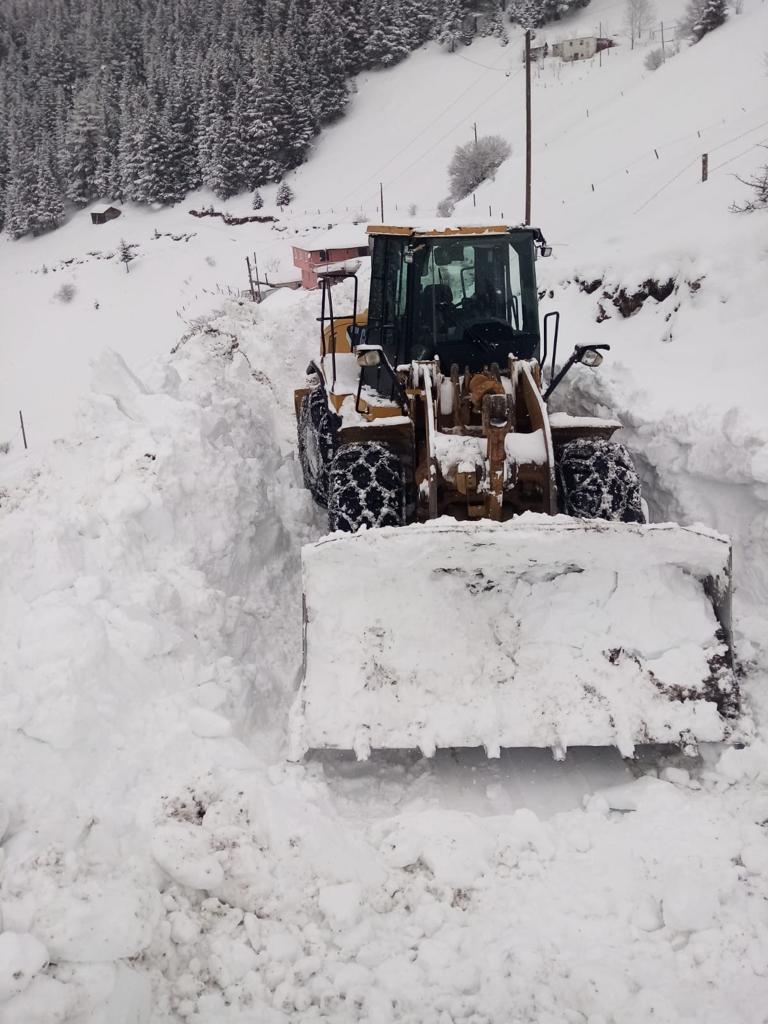 Gümüşhane, Giresun ve Artvin’de kar nedeniyle 96 köye ulaşım sağlanamıyor