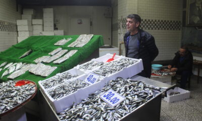 Zonguldak’ta balık tezgahları boş kaldı