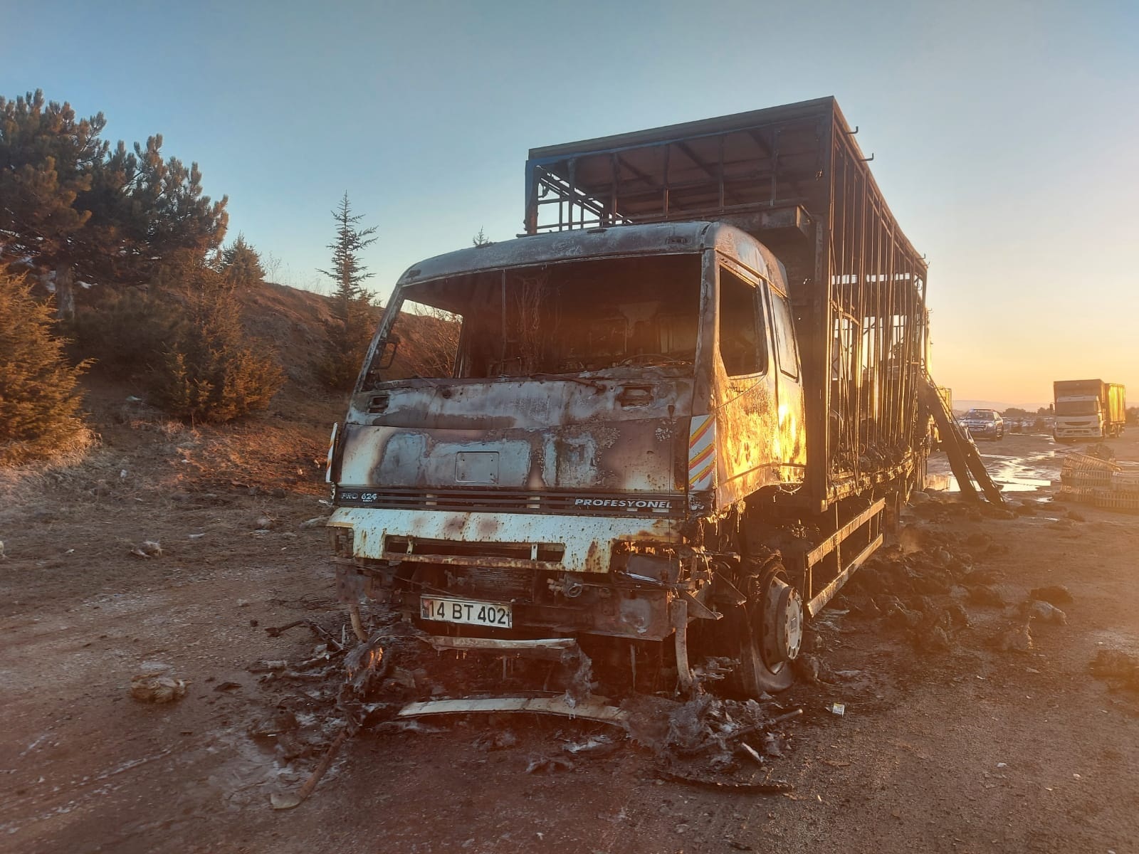 Bolu’da kamyonda çıkan yangında yüzlerce tavuk telef oldu