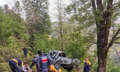Artvin’de kamyonetin çay bahçesine yuvarlandığı kazada bir kişi öldü, 3 kişi yaralandı