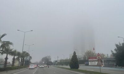 Samsun’da sis etkili oldu