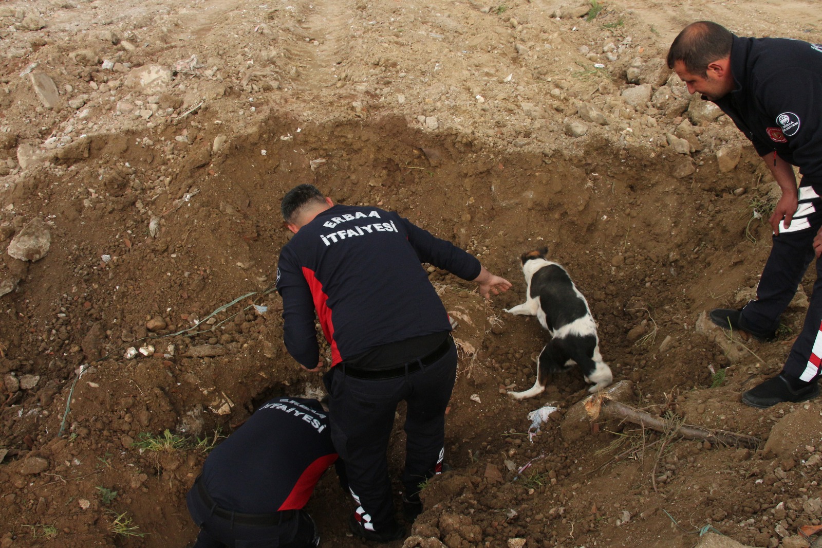 Tokat’ta toprak altında kalan köpek ve yavrularını itfaiye kurtardı