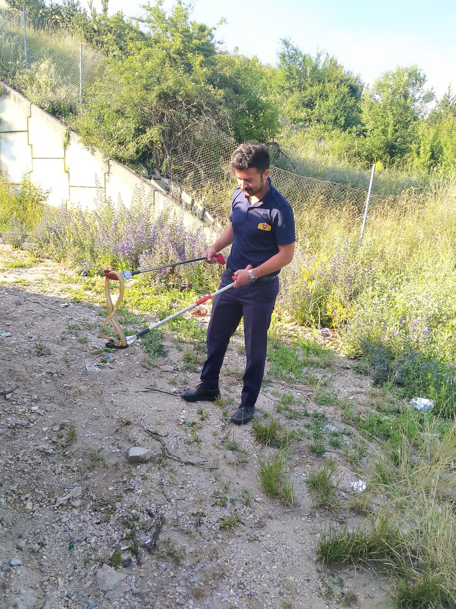 Bolu’da apartman bahçesinde yakalanan yılan doğaya bırakıldı