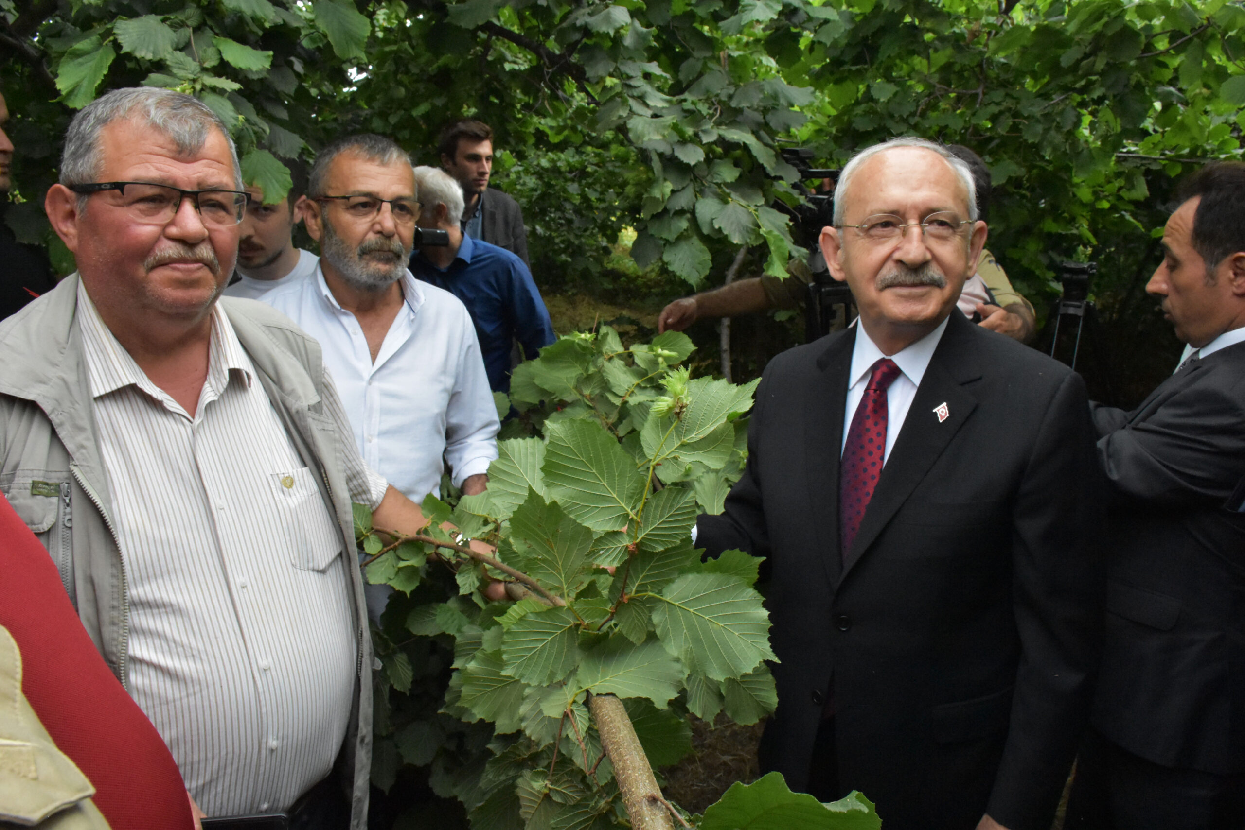 Kılıçdaroğlu, Ordu’da fındık bahçesinde üreticilerle buluştu: