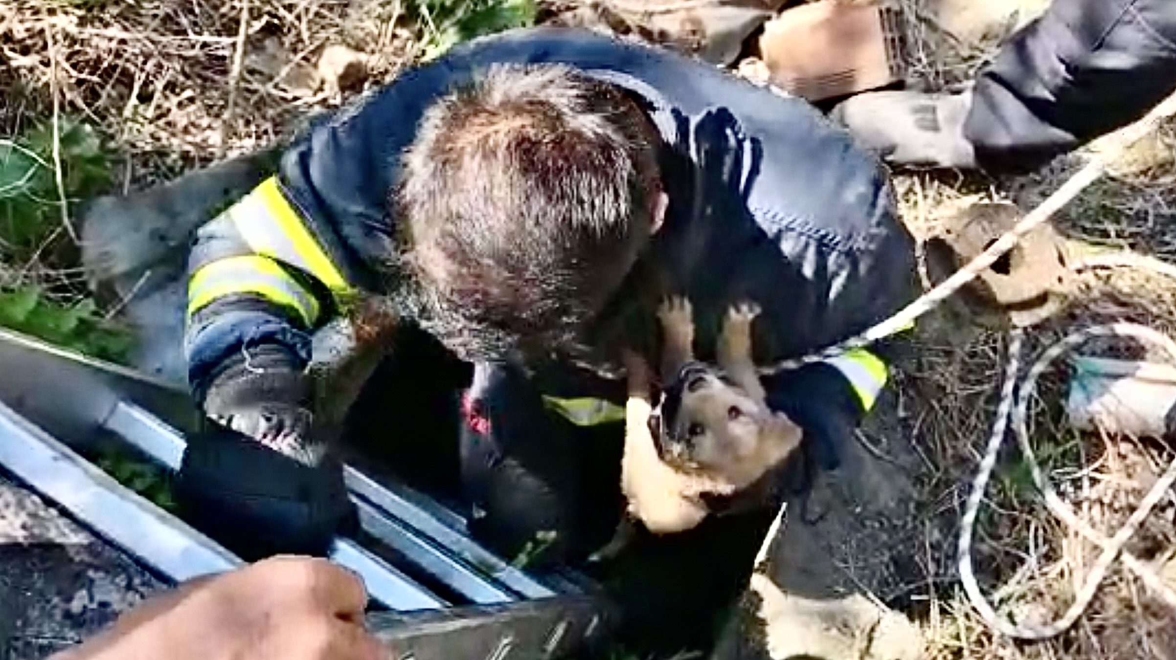 Karabük’te 5 metrelik kuyuya düşen köpek yavrusu kurtarıldı