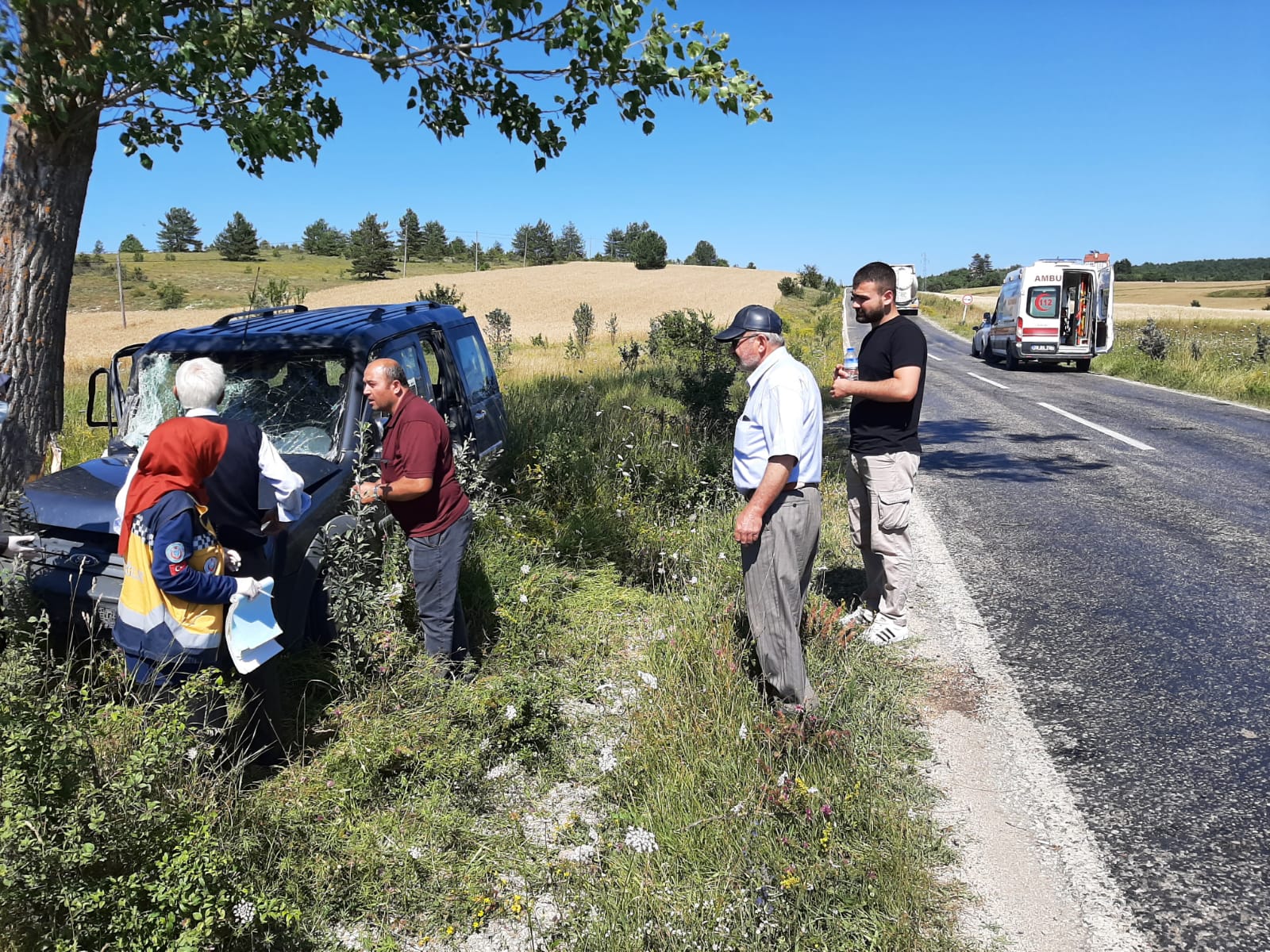 Karabük’te ağaca çarpan hafif ticari aracın sürücüsü yaralandı