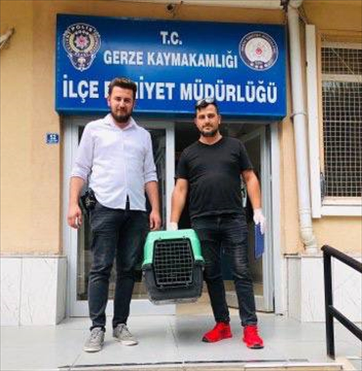 Sinop’ta polisin bulduğu yaralı kuş tedavisinin ardından salıverilecek