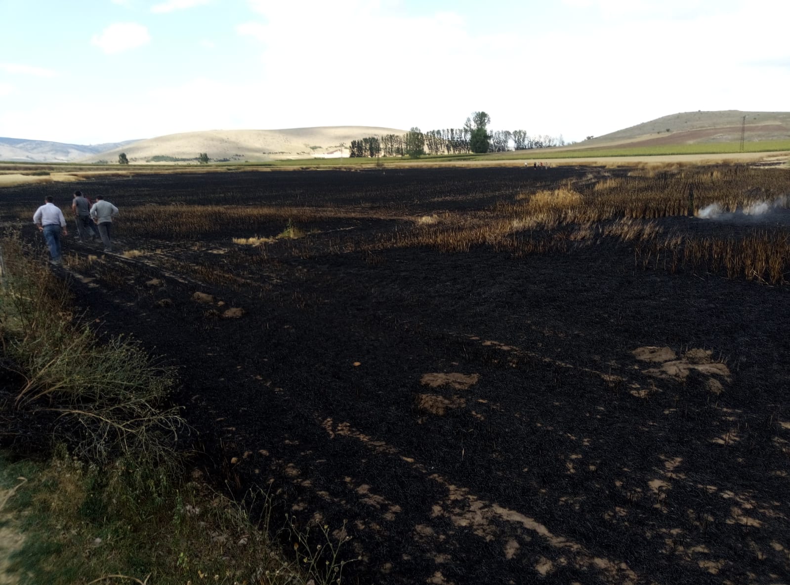 Tokat’ta buğday ekili tarlada çıkan yangın söndürüldü