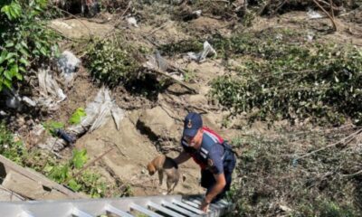 Zonguldak’ta kütükler arasına sıkışan 5 yavru köpek kurtarıldı