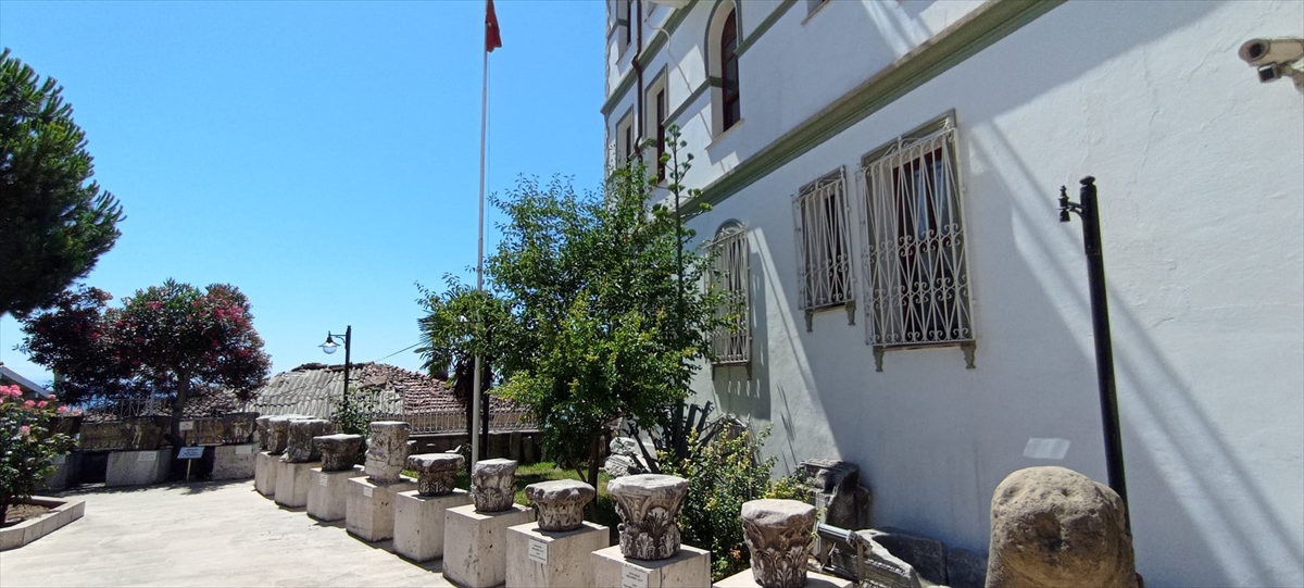 Zonguldak’ta Müze Müdürlüğünün bahçesinde agave bitkisi çiçek açtı