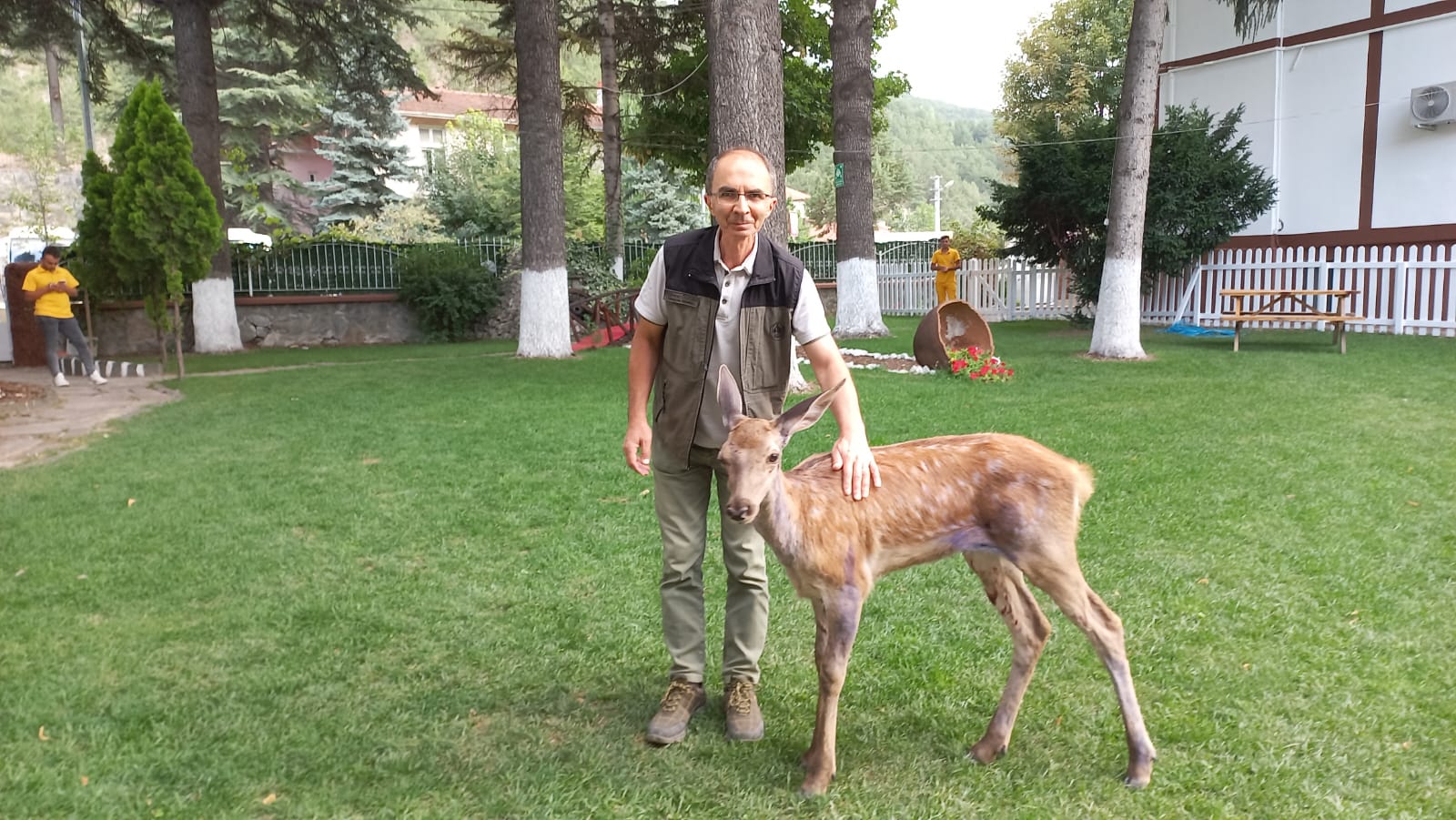 Bolu’da tedavisi tamamlanan geyik doğaya salındı