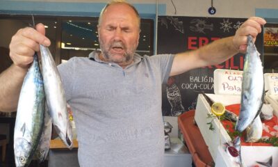 Zonguldak’ta sezonun ilk palamutlarının bolluğu balıkçıları umutlandırdı