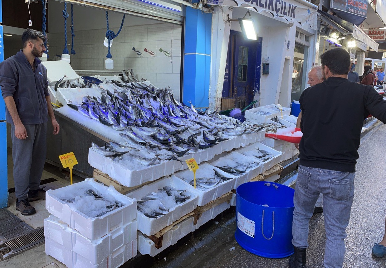 Karadeniz’de avlanan 1 kilogramlık palamutlar 35 liradan alıcı buluyor