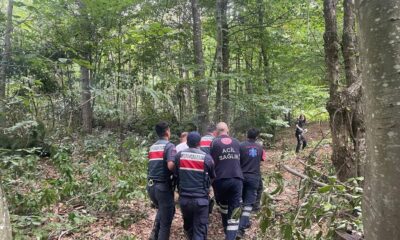 Zonguldak’ta kestiği ağacın altında kalan kişi yaralandı