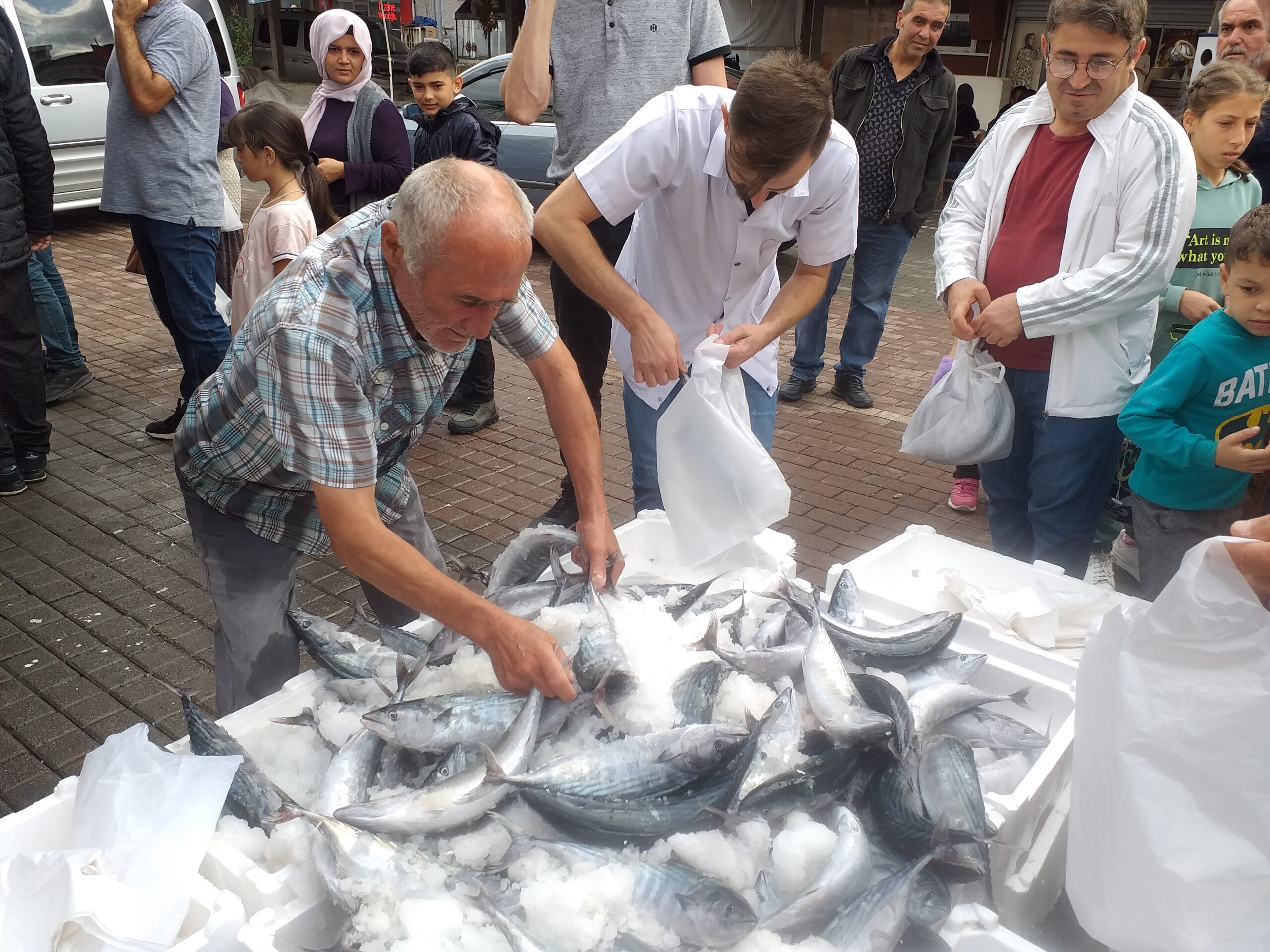 Zonguldak’ta palamut bolluğu fiyatlara yansıdı