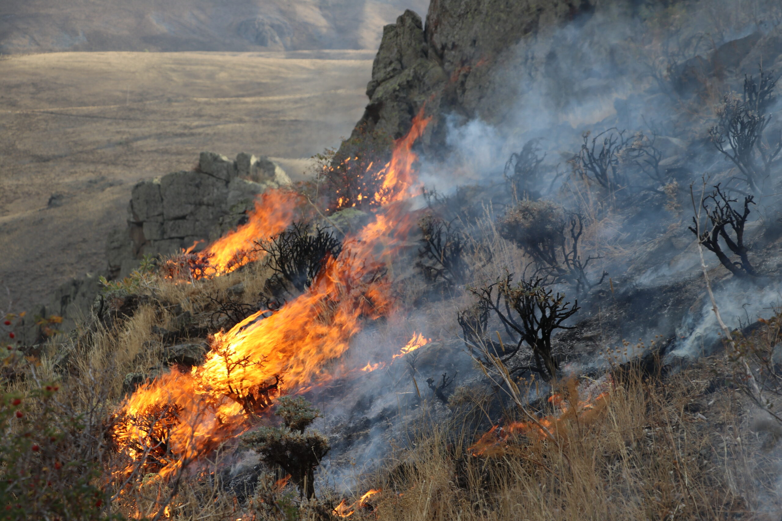 Bayburt’ta dağlık alanda çıkan örtü yangınına müdahale ediliyor