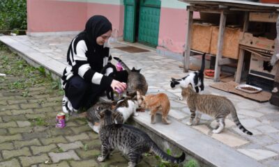 Üniversite öğrencisi Sevgican sahipsiz kedilerin yardımına koşuyor