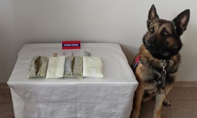 Bolu’da uyuşturucu operasyonunda 1 şüpheli yakalandı