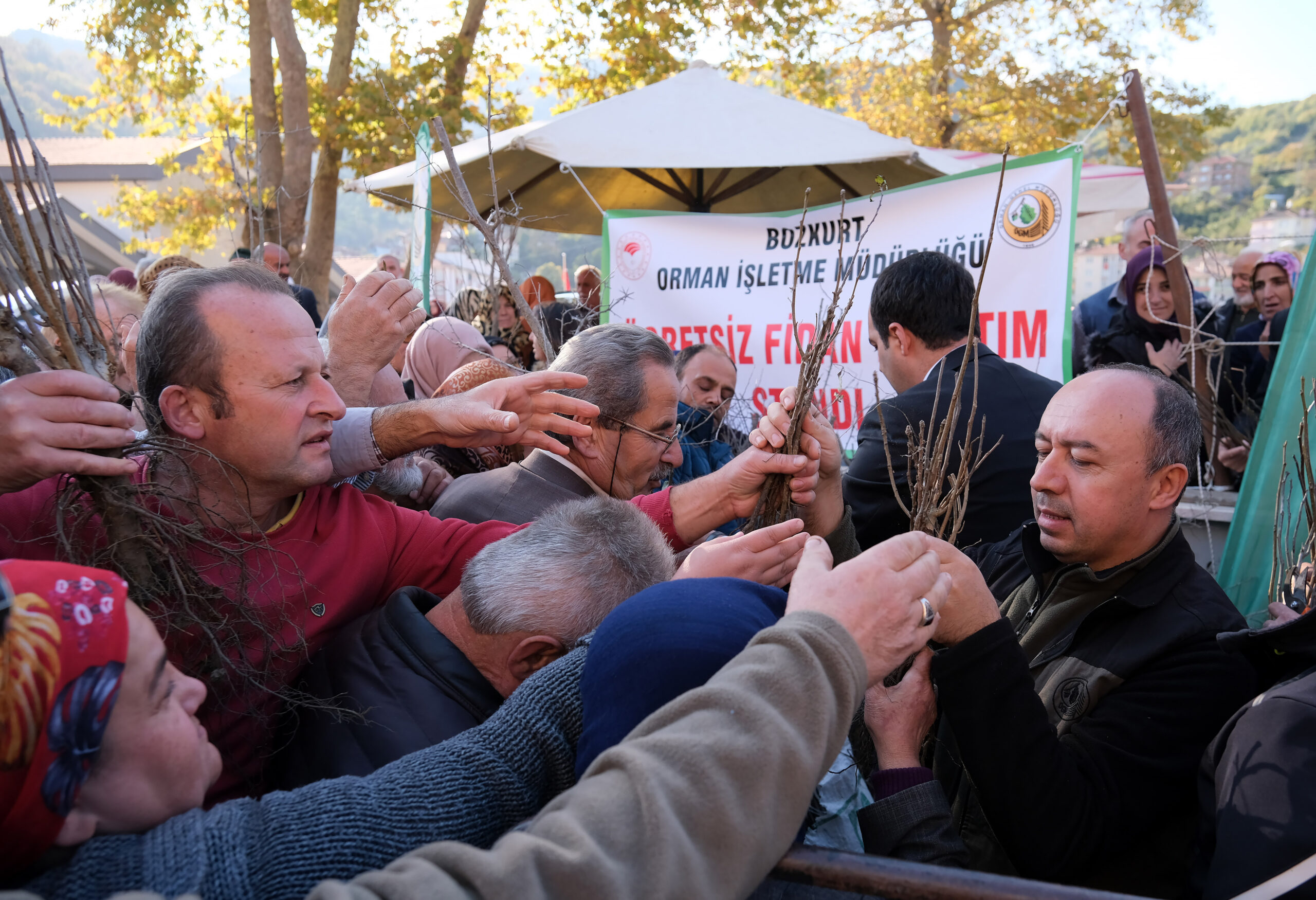 Bozkurt’ta vatandaşlara ücretsiz fidan dağıtıldı