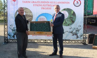 Samsun’da üreticilere 625 bin brokoli fidesi dağıtıldı