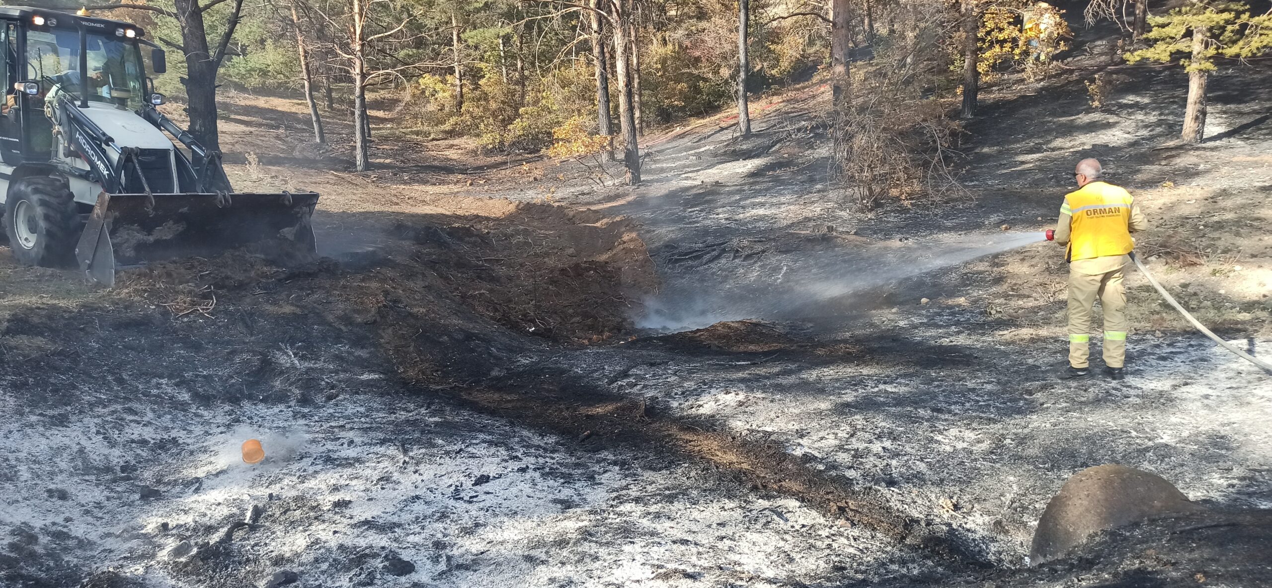 Tokat’ta çıkan yangında 2 dönüm ormanlık alan zarar gördü