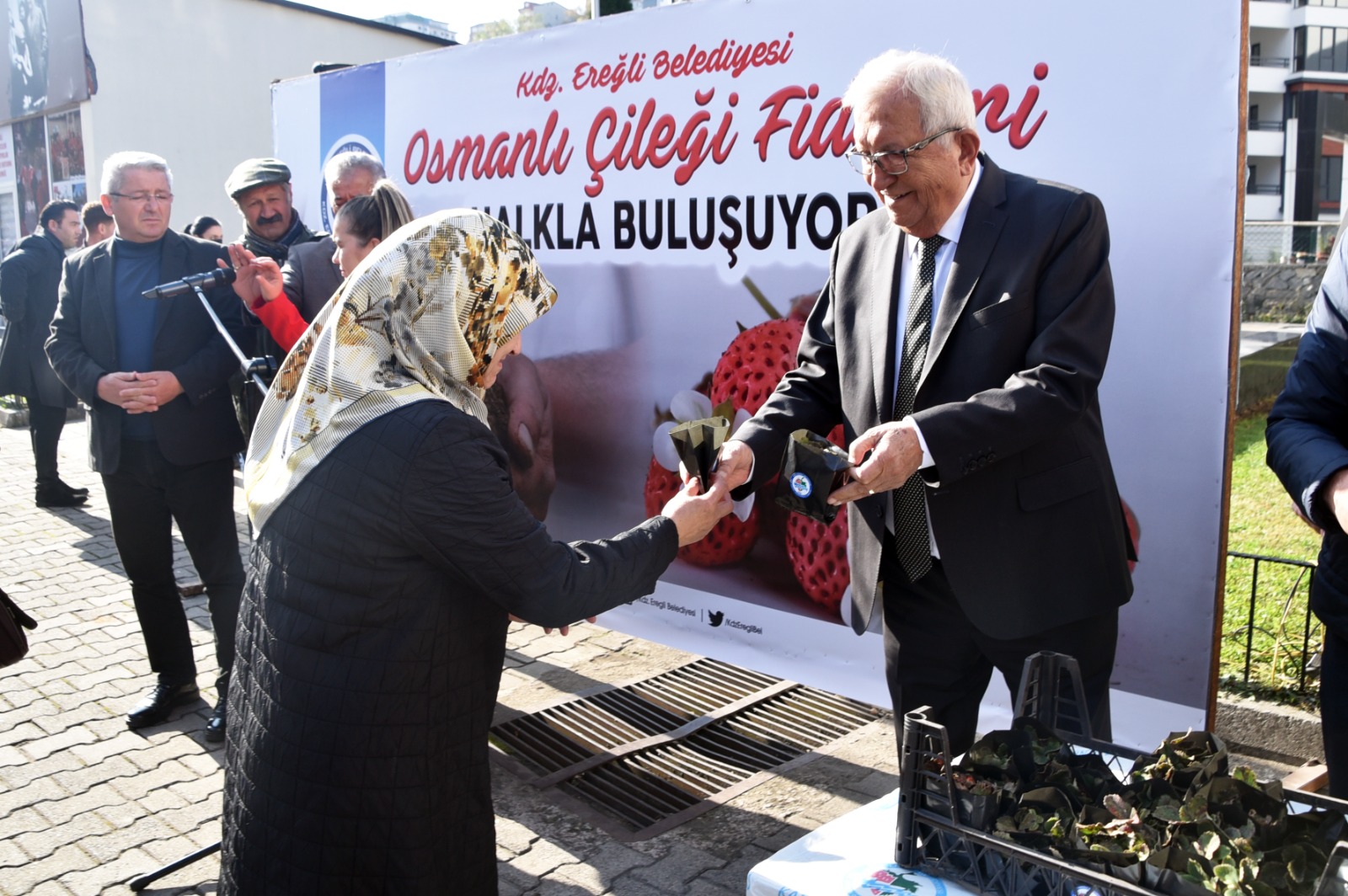 Zonguldak’ta 3 bin Osmanlı çileği fidesi dağıtıldı