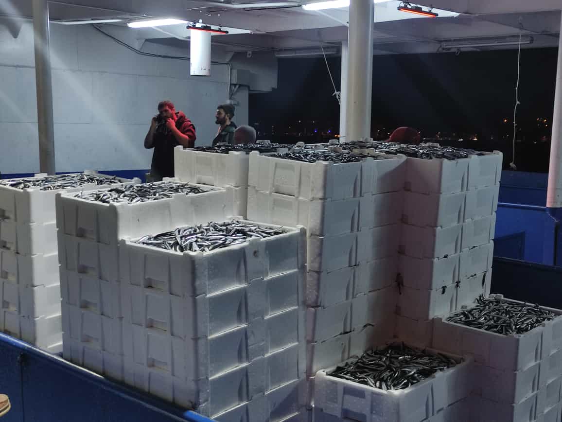 Kastamonu’da balıkçılar limana kasalar dolusu hamsiyle döndü