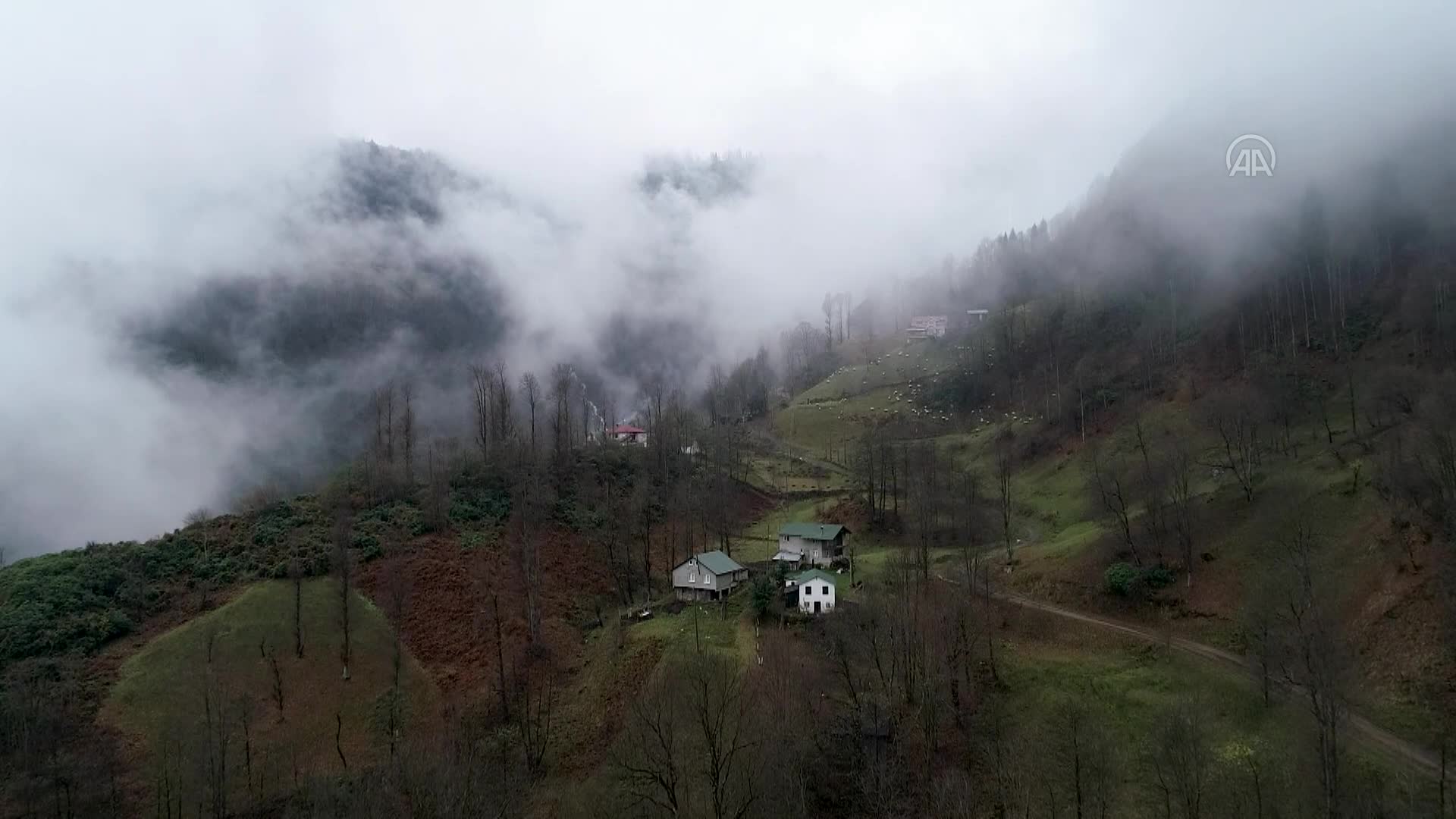Trabzon’un “Hıdırnebi Yaylası” sis altındaki güzelliğiyle ziyaretçilerini karşılıyor