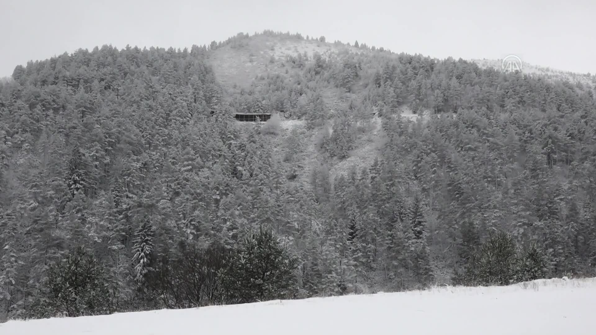 Zigana Dağı’nda kar ve sis etkili oldu