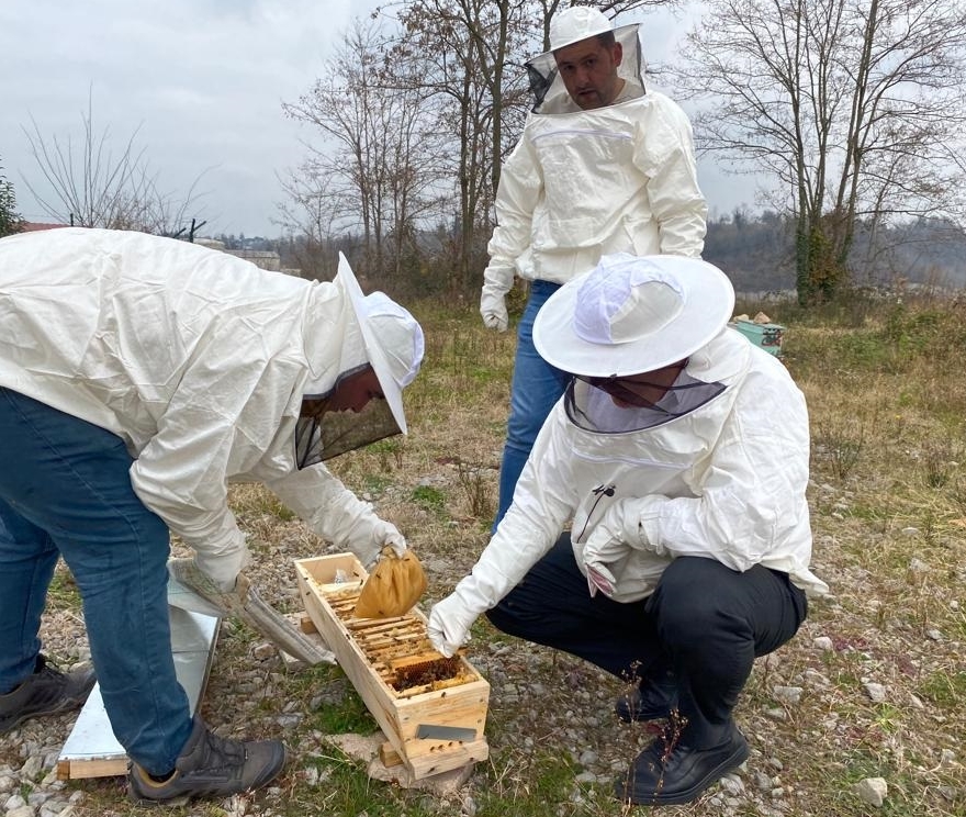 Ordu’da arı ölümleri yaşanmaması için kovanlara yem takviyesi yapıldı