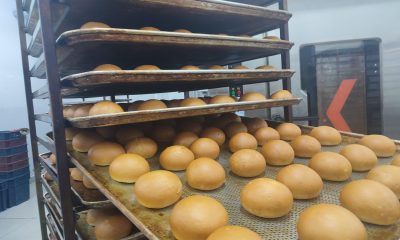 Amasya’da öğrenciler ürettikleri 54 bin ekmeği deprem bölgesine gönderdi