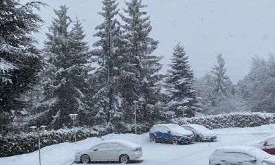 Abant’ta kar yağışı başladı
