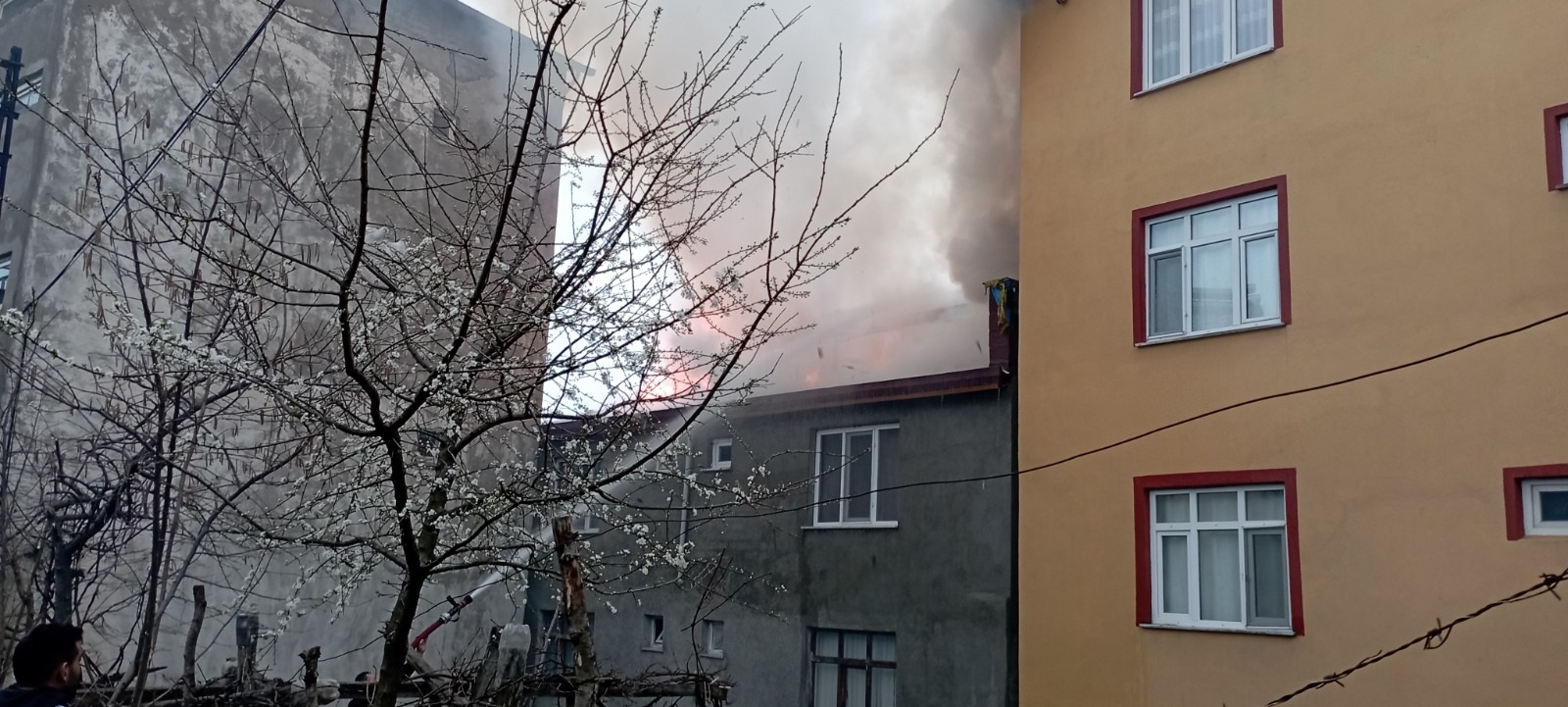Ordu’da bir binanın çatı katında çıkan yangın söndürüldü