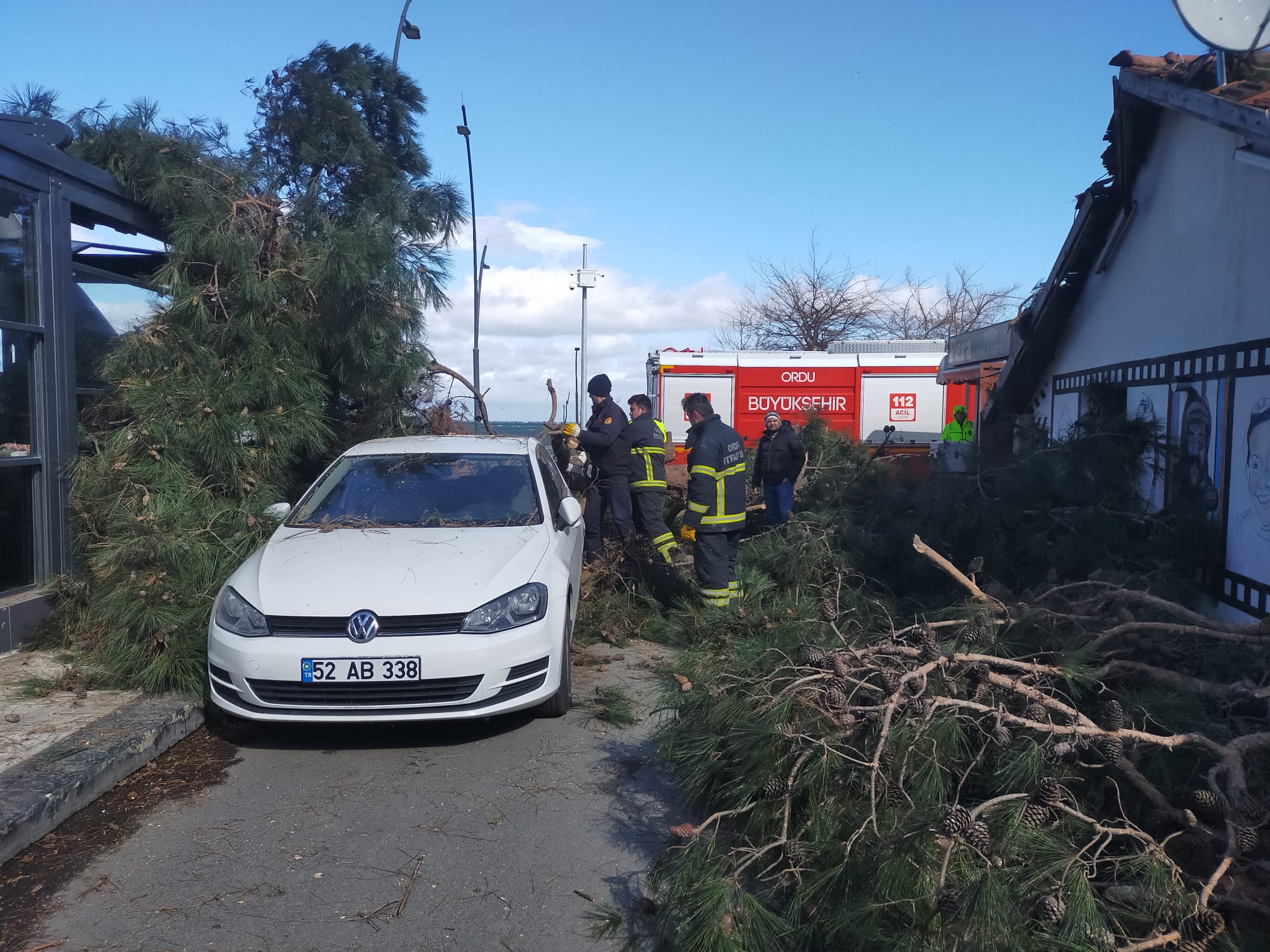 Ordu’da şiddetli rüzgarın etkisiyle devrilen ağaç, iş yeri ile otomobile zarar verdi