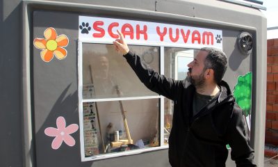 Sinop’ta hayvanseverlerce kurulan “Scak Yuvam” sahipsiz hayvanların yeni evleri olacak