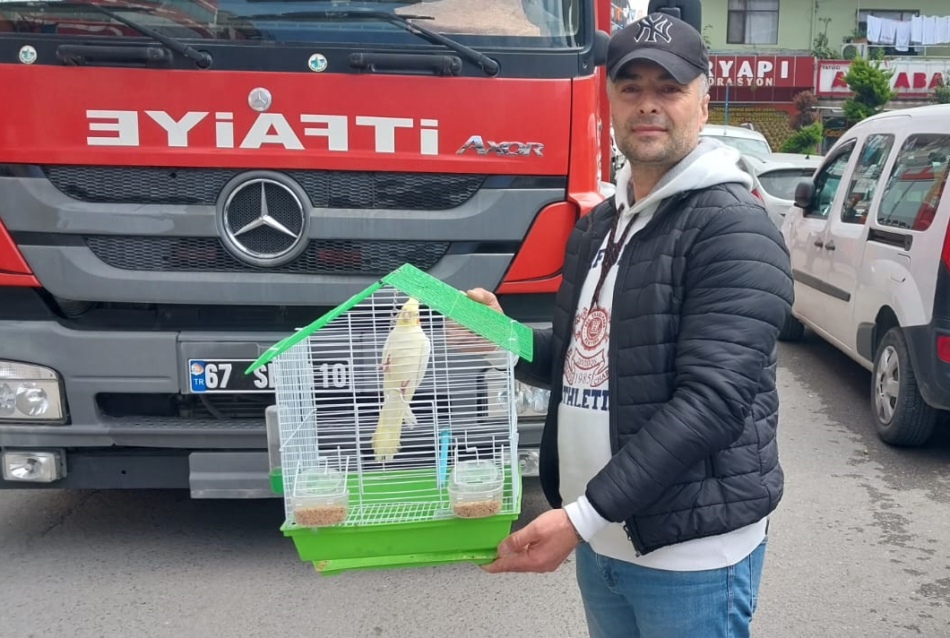 Zonguldak’ta evin penceresinden kaçan papağanı itfaiye yakaladı