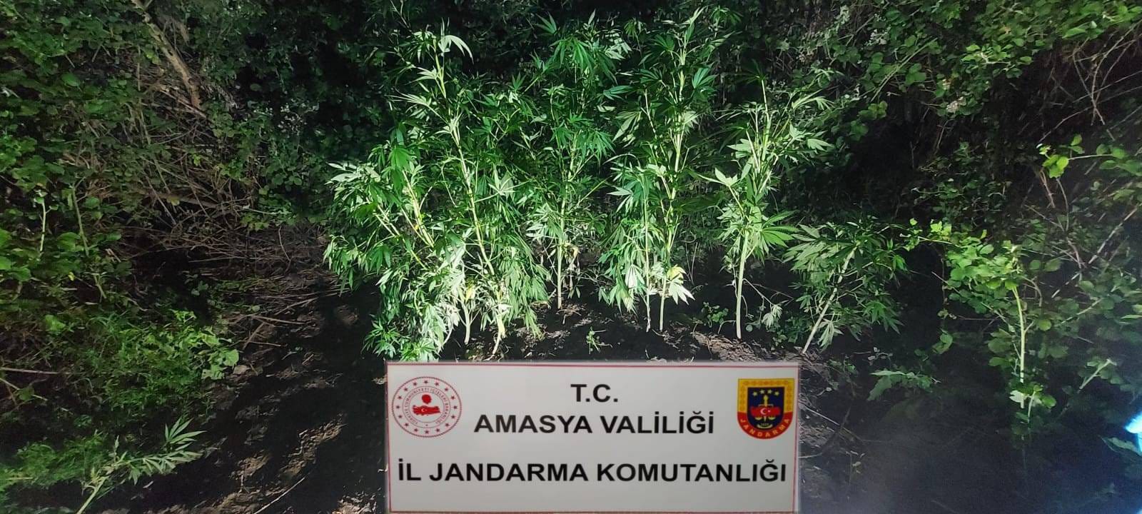 Amasya’da uyuşturucu operasyonunda 2 zanlı tutuklandı