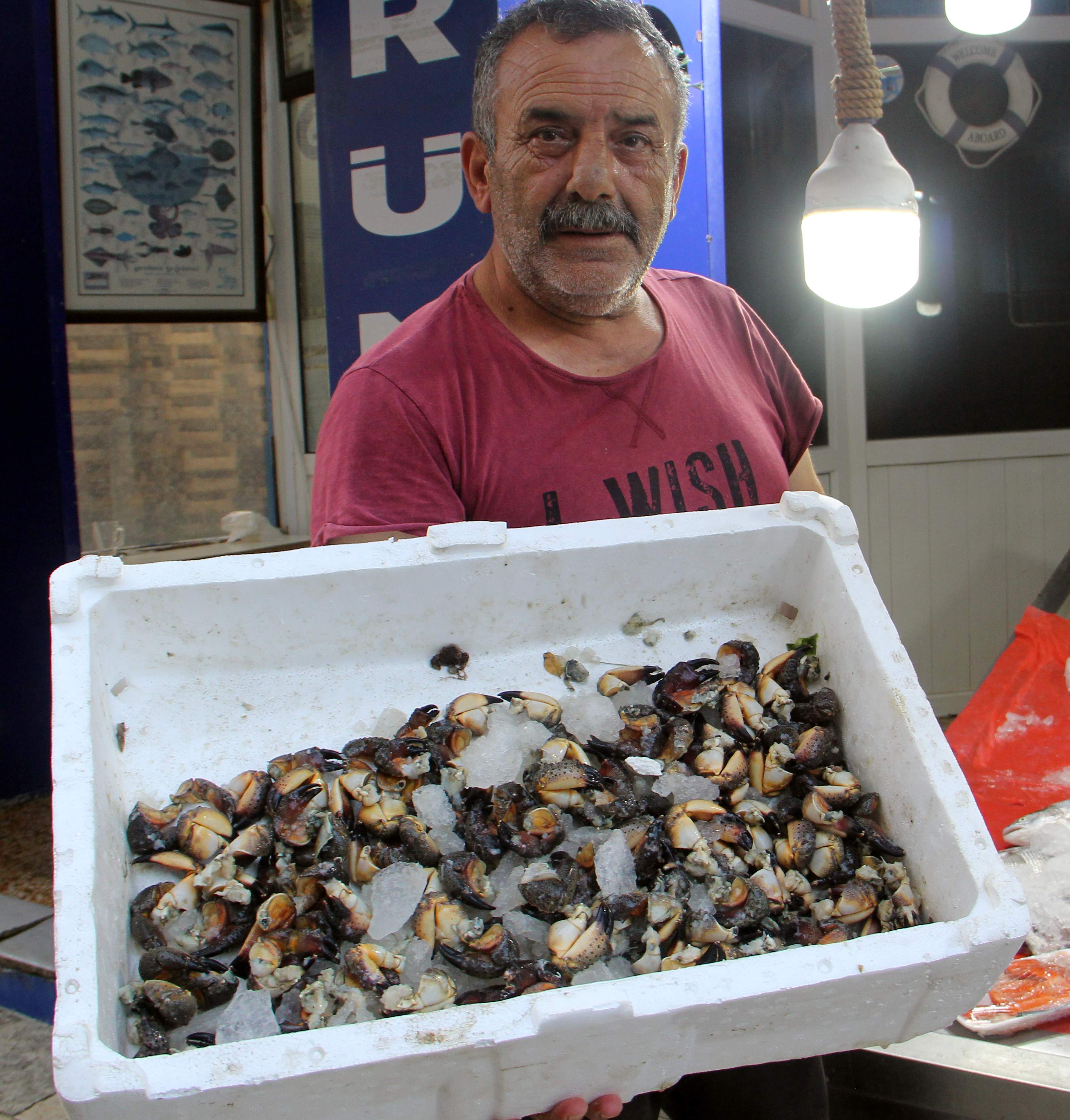 Sinop’ta avlanan yengeçler, kilogramı 75 liradan satılıyor