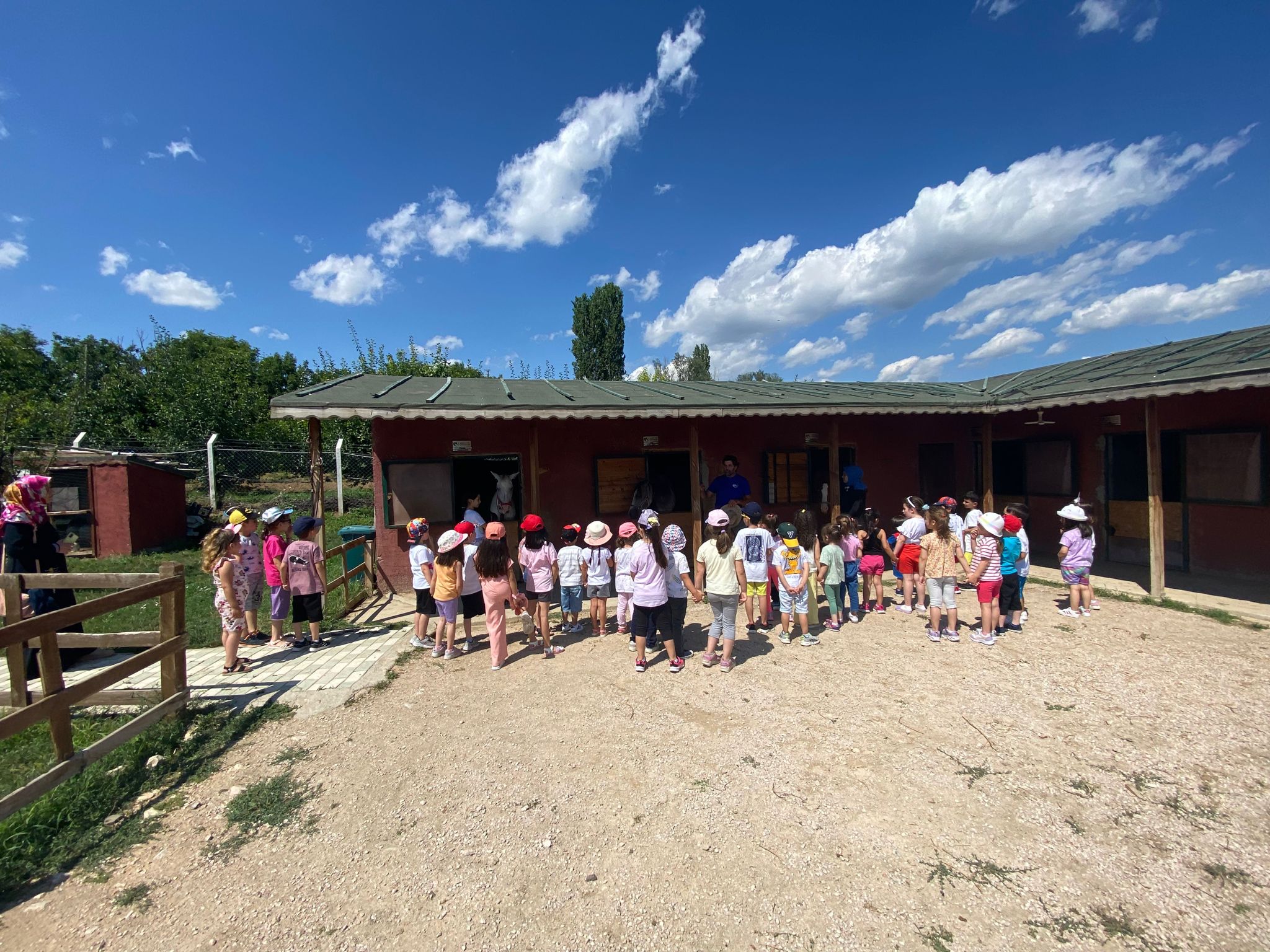 Amasya’da anaokulu öğrencileri at çiftliğini ziyaret etti