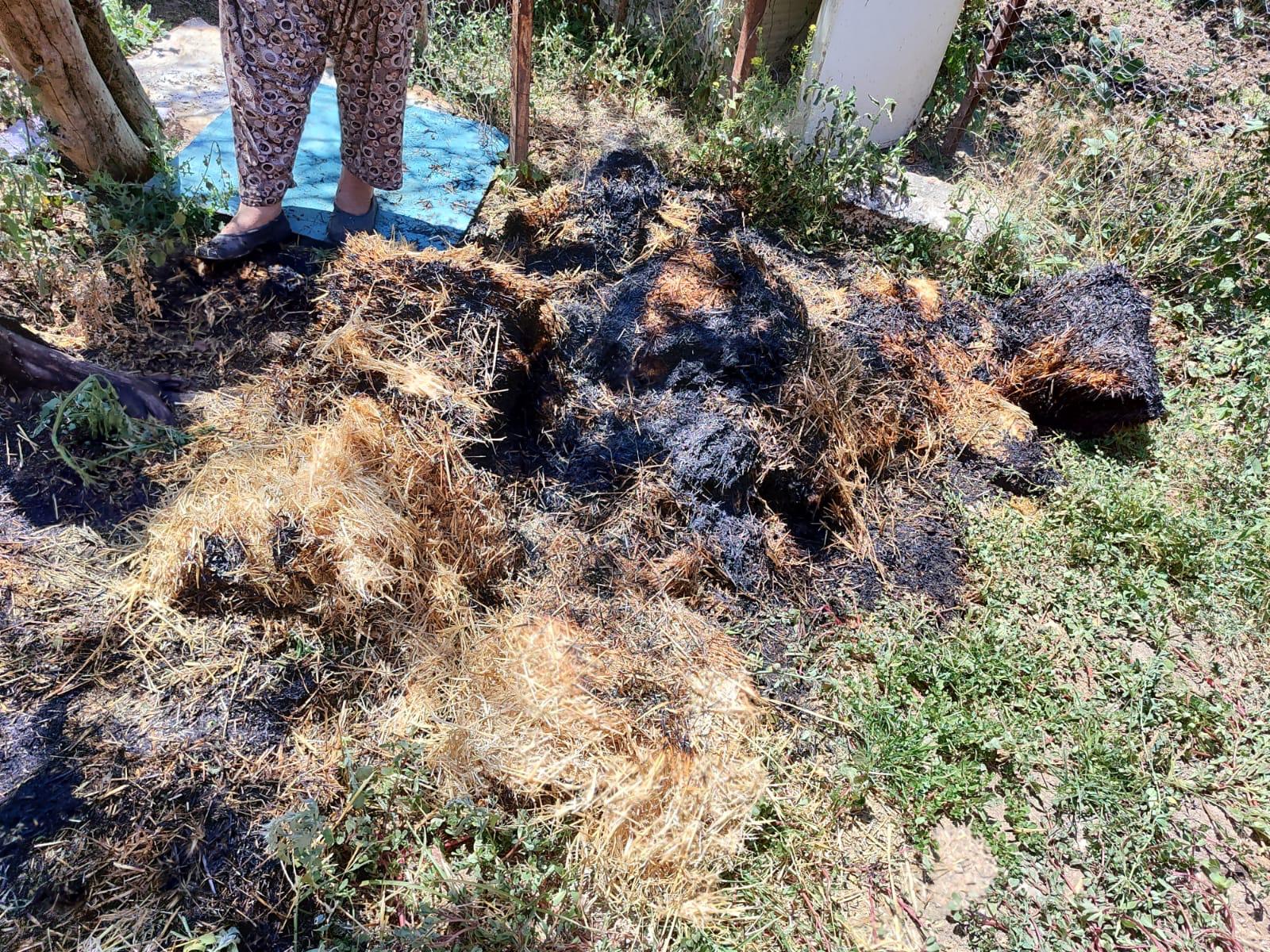 Amasya’da yangın sonucu 200 balya saman zarar gördü