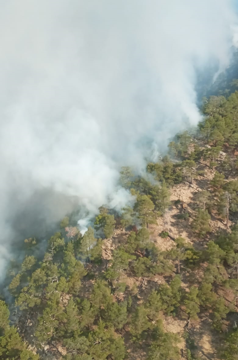 Bolu’da yıldırım düşmesi sonucu çıkan orman yangınına müdahale sürüyor